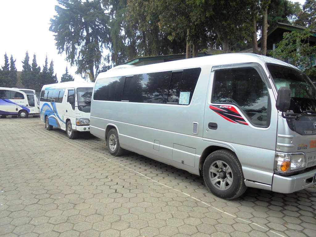 sewa mobil elf dieng